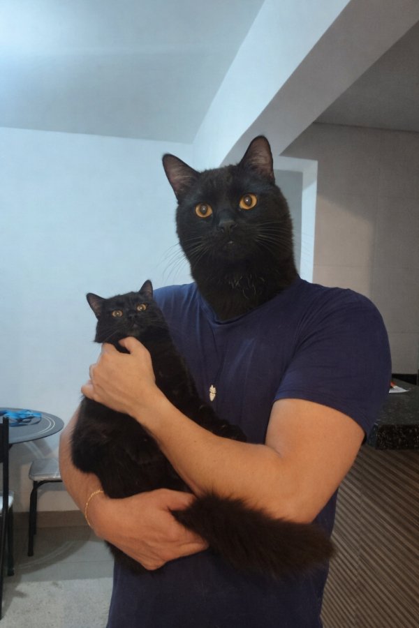 Unusual Finds And Discoveries (33 pics)