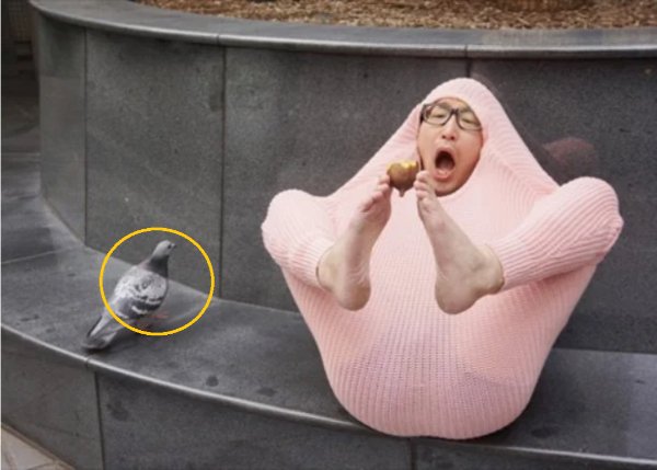 Unusual Finds And Discoveries (33 pics)