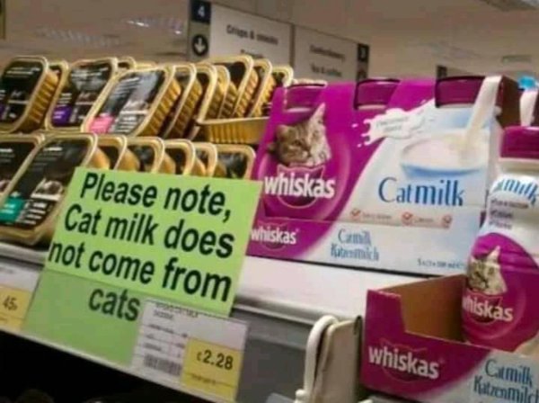 Random Memes (27 pics)