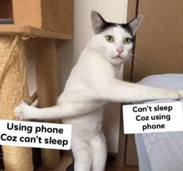 Funny Memes (32 pics)