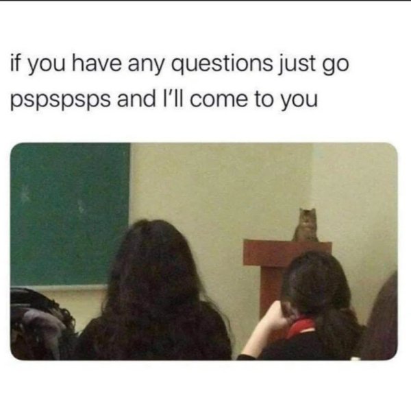 Random Memes (27 pics)