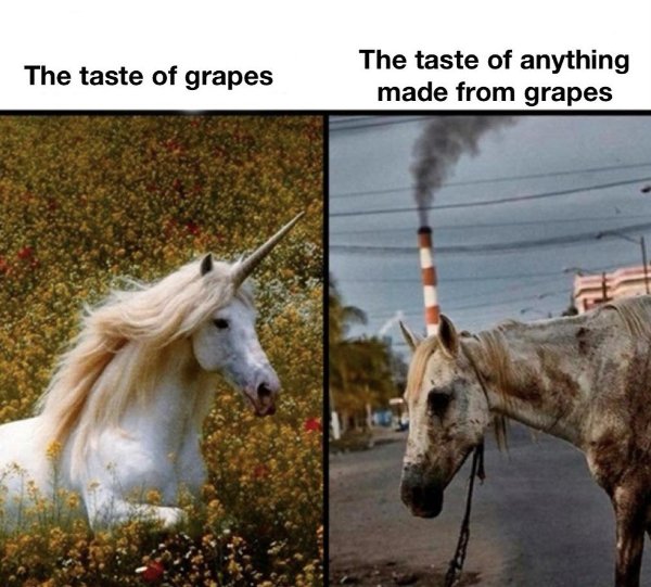 Random Memes (27 pics)