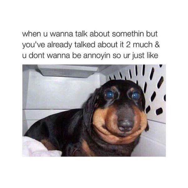 Funny Memes (32 pics)