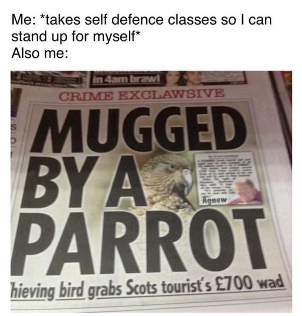 Funny Memes (32 pics)