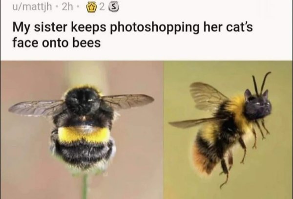 Funny Memes (32 pics)