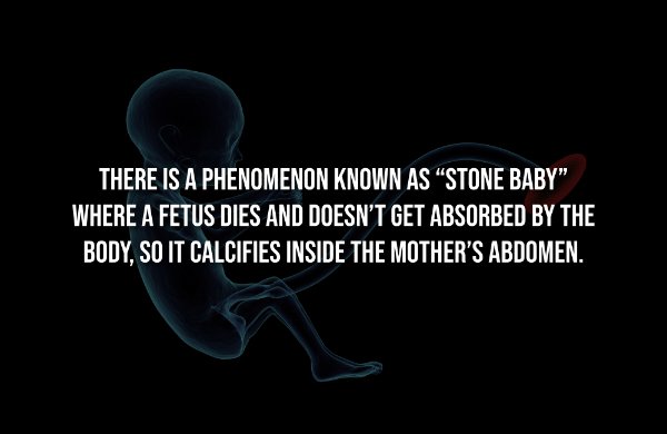 Creepy Facts (14 pics) Creepy Facts (14 pics)