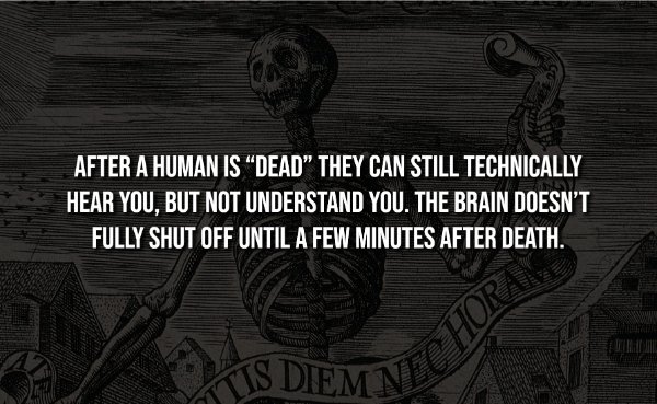 Creepy Facts (14 pics) Creepy Facts (14 pics)