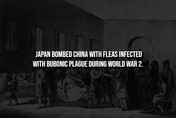 Creepy Facts (14 pics) Creepy Facts (14 pics)