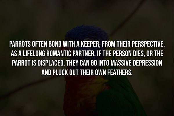 Creepy Facts (14 pics) Creepy Facts (14 pics)