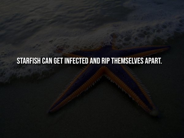 Creepy Facts (14 pics) Creepy Facts (14 pics)