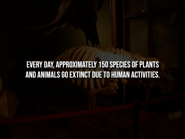 Creepy Facts (14 pics) Creepy Facts (14 pics)