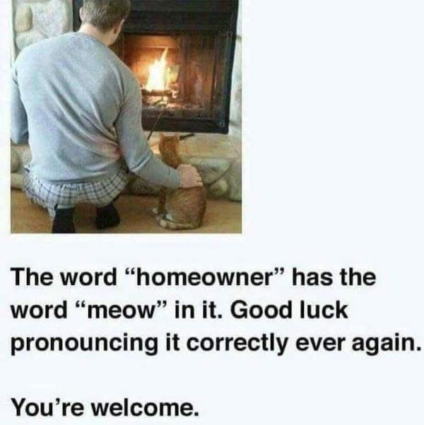 Funny Memes (40 pics)