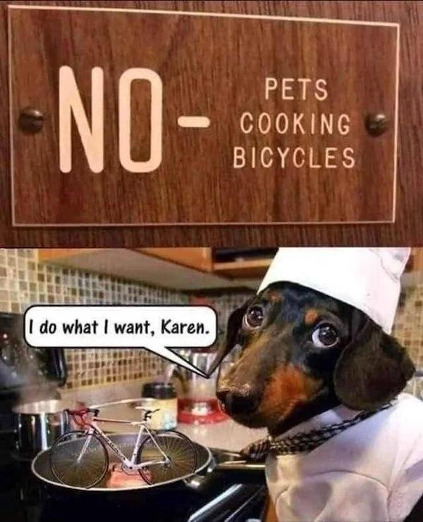 Funny Memes (40 pics)