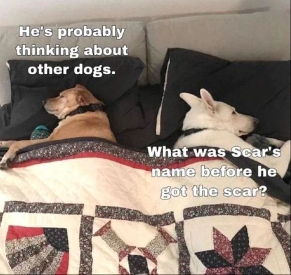 Funny Memes (40 pics)