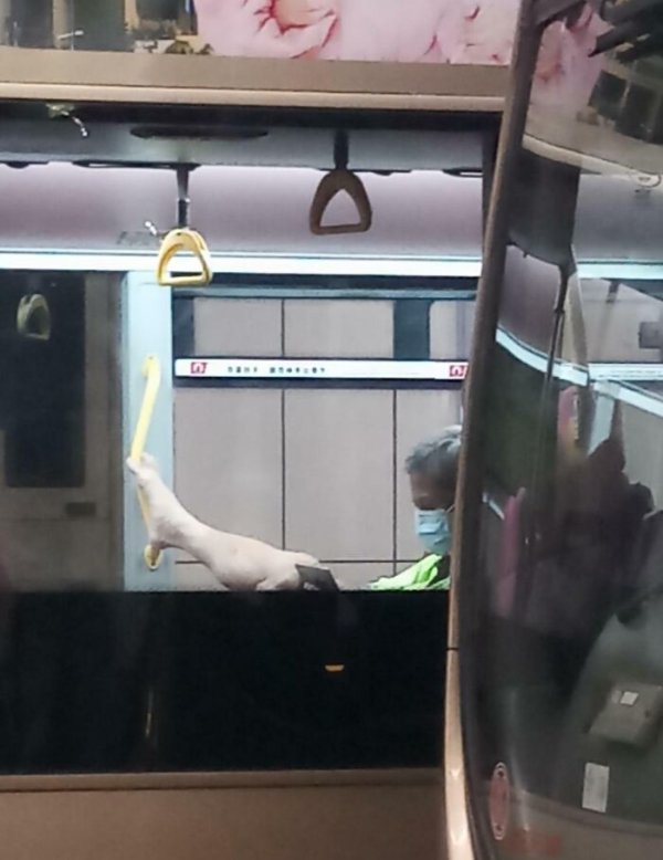 Annoying People On Public Transport (26 pics)