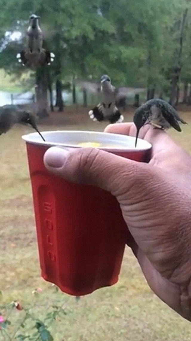 Jokes And Photos For A Good Mood (41 pics)