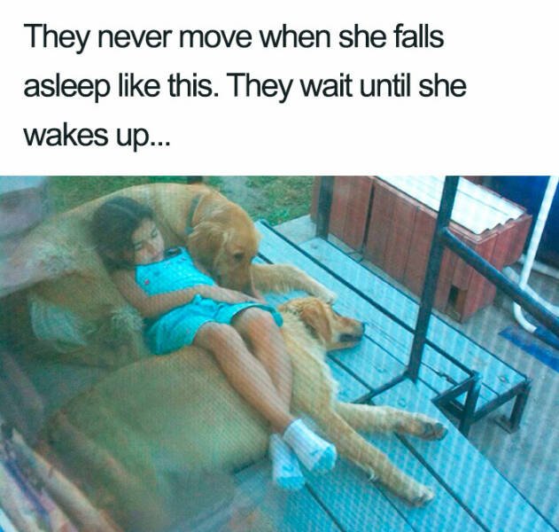 Jokes And Photos For A Good Mood (41 pics)