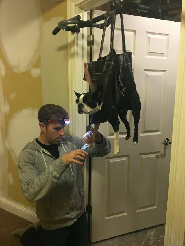 Jokes And Photos For A Good Mood (41 pics)