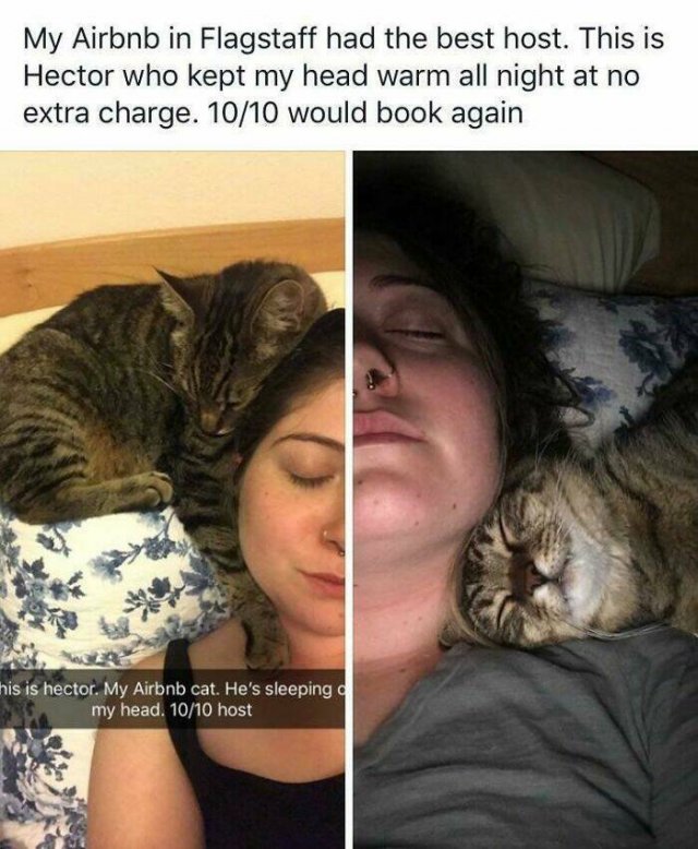 Jokes And Photos For A Good Mood (41 pics)