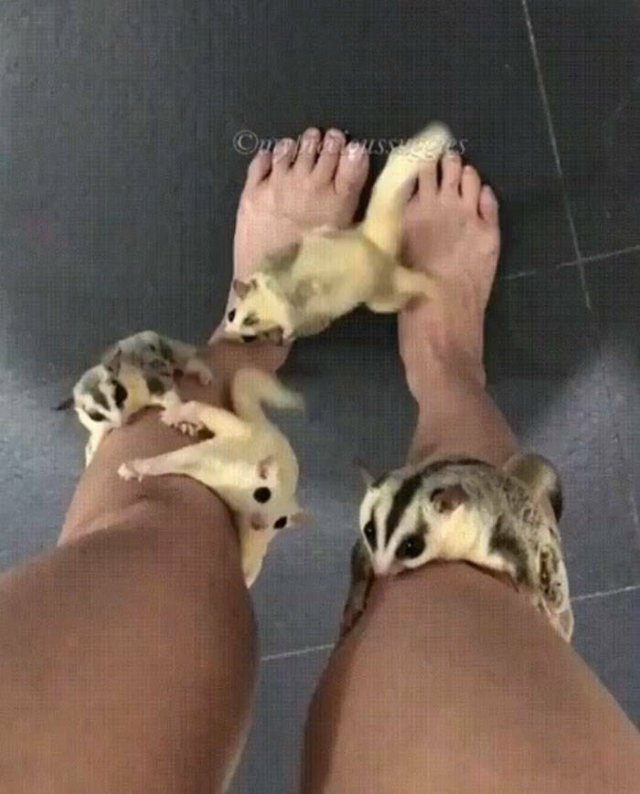 Jokes And Photos For A Good Mood (41 pics)