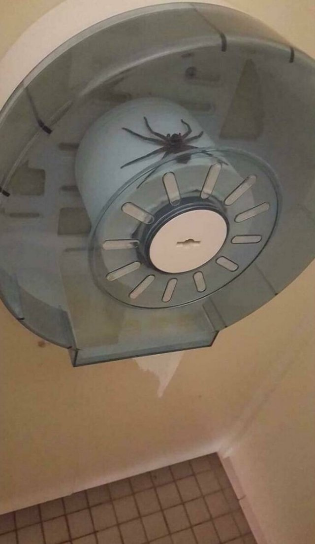 Jokes And Photos For A Good Mood (41 pics)