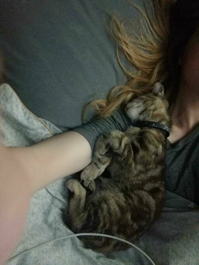 Jokes And Photos For A Good Mood (41 pics)