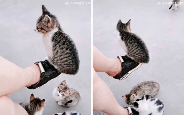 Jokes And Photos For A Good Mood (41 pics)