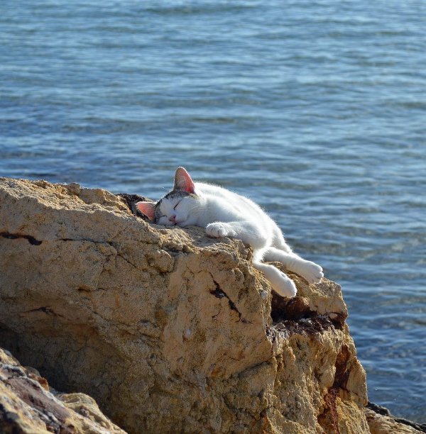 Life Is Beautiful (28 pics) Life Is Beautiful (28 pics)