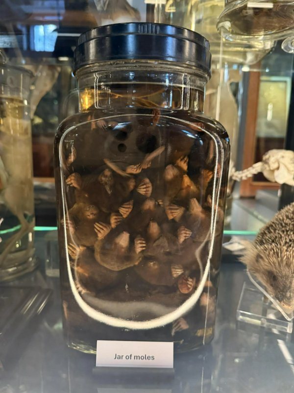 What Is Going On Here? (52 pics) What Is Going On Here? (52 pics)