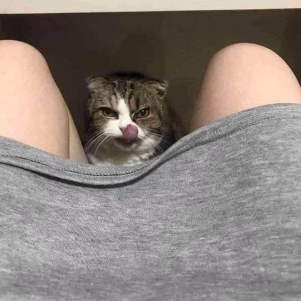 What Is Going On Here? (52 pics) What Is Going On Here? (52 pics)