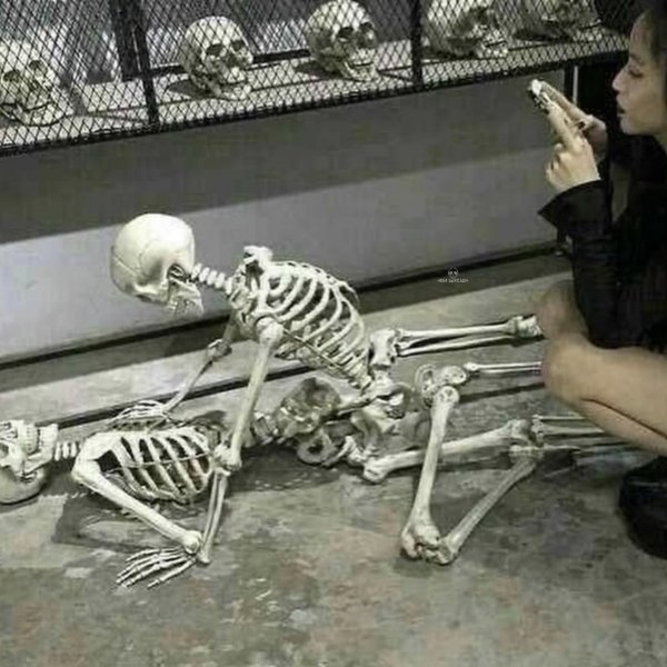 What Is Going On Here? (52 pics) What Is Going On Here? (52 pics)