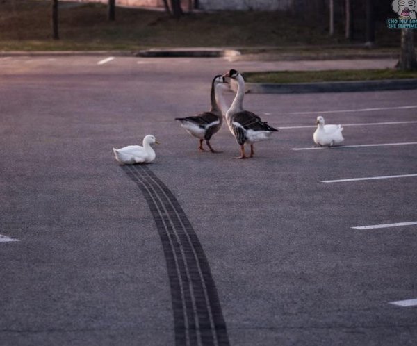 What Is Going On Here? (52 pics) What Is Going On Here? (52 pics)