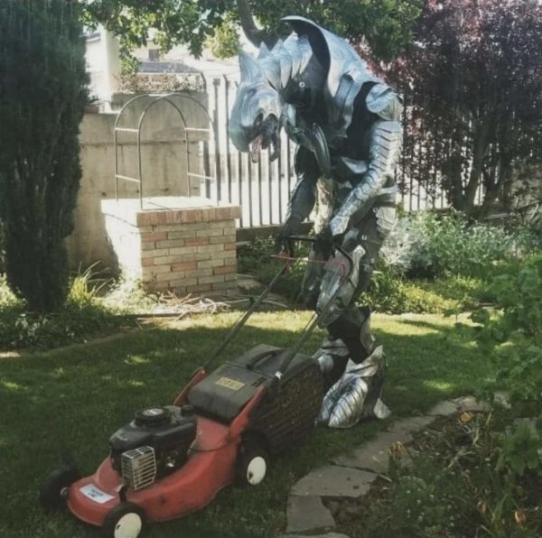 What Is Going On Here? (52 pics) What Is Going On Here? (52 pics)