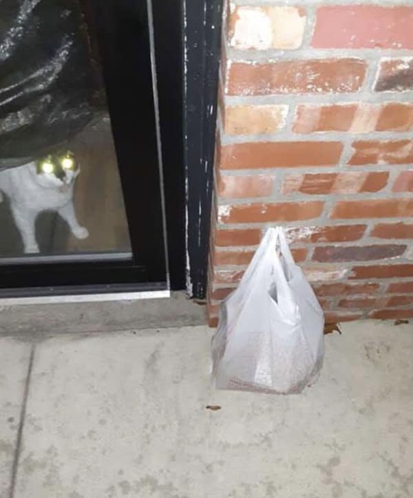 Memes About Delivery (39 pics) Memes About Delivery (39 pics)