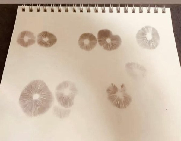 What Is Going On Here? (52 pics) What Is Going On Here? (52 pics)