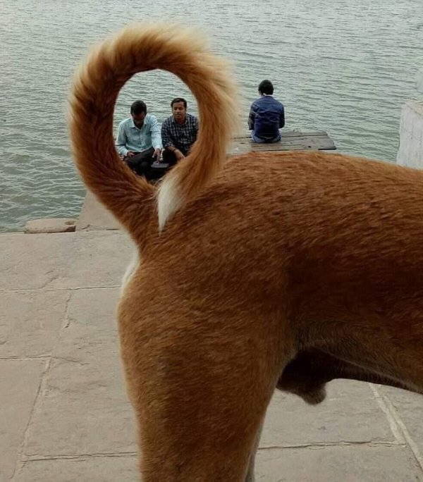 What Is Going On Here? (52 pics) What Is Going On Here? (52 pics)