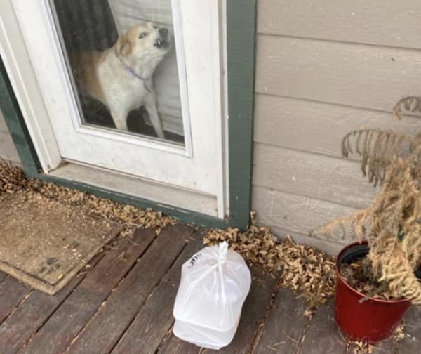 Memes About Delivery (39 pics) Memes About Delivery (39 pics)