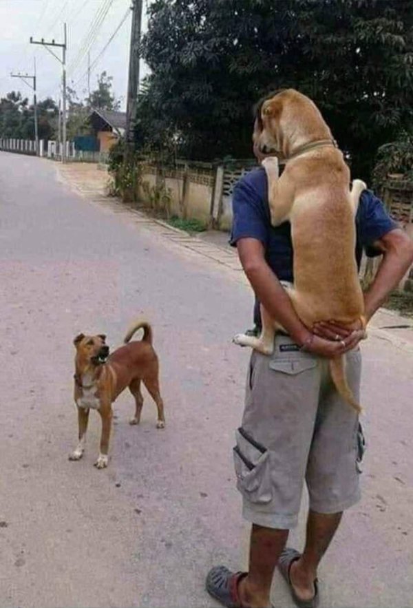 What Is Going On Here? (52 pics) What Is Going On Here? (52 pics)