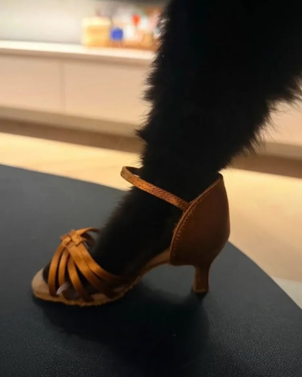 What Is Going On Here? (52 pics) What Is Going On Here? (52 pics)