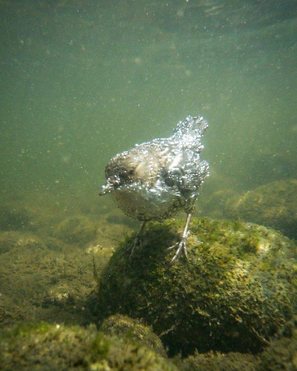 What Is Going On Here? (52 pics) What Is Going On Here? (52 pics)