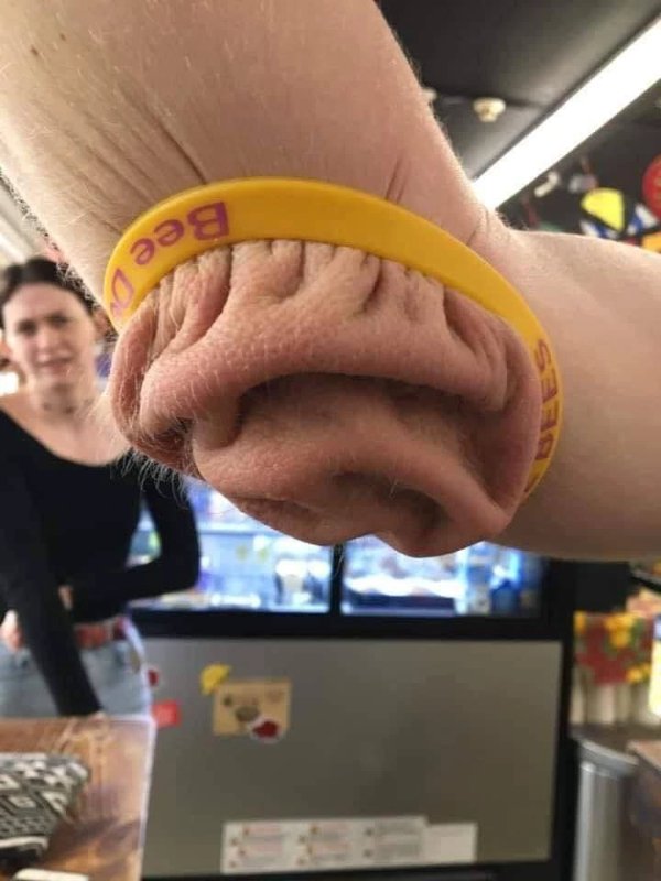 What Is Going On Here? (52 pics) What Is Going On Here? (52 pics)