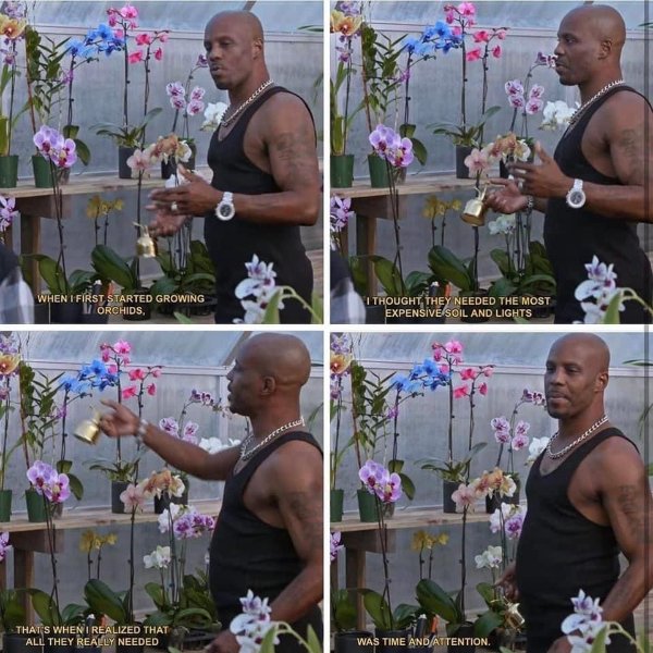 Life Is Beautiful (28 pics) Life Is Beautiful (28 pics)