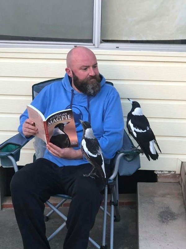 Life Is Beautiful (28 pics) Life Is Beautiful (28 pics)