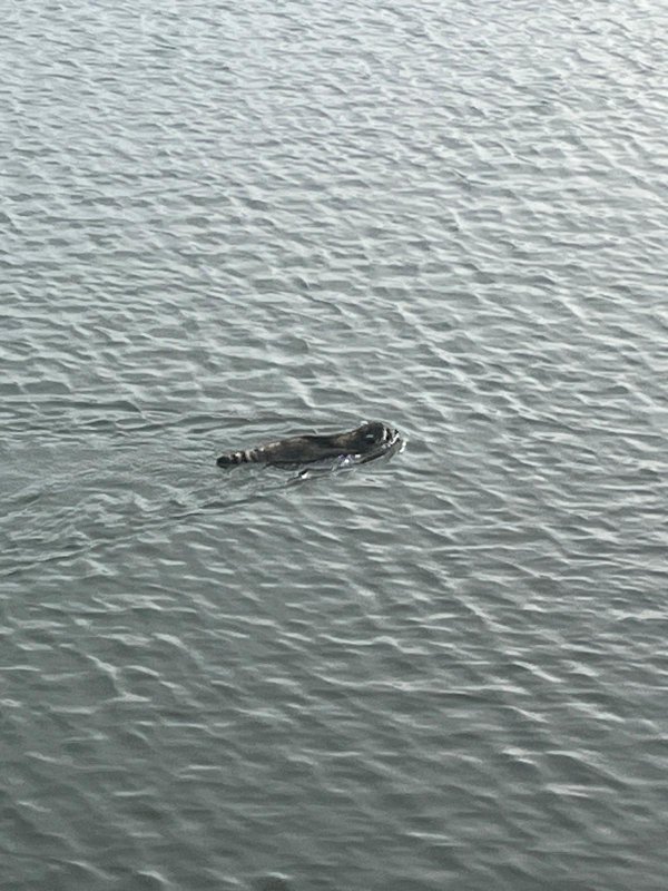 Interesting Finds (24 pics)