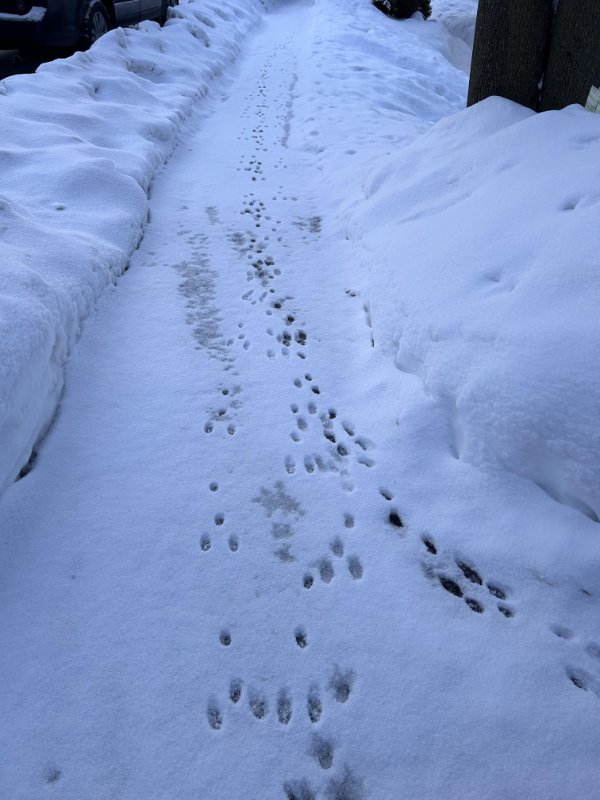 Interesting Finds (24 pics)