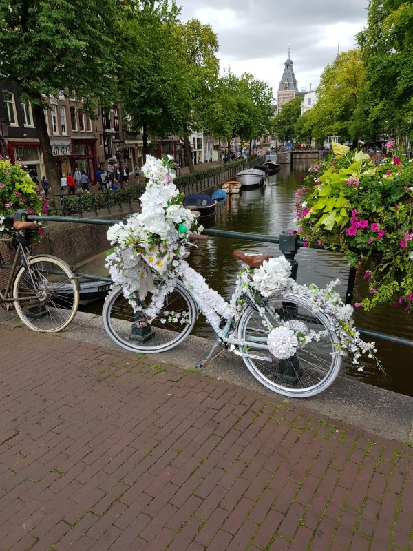 Interesting Finds (24 pics)