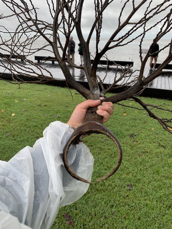 Epic Sticks (25 pics) Epic Sticks (25 pics)