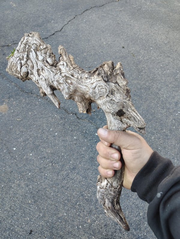 Epic Sticks (25 pics) Epic Sticks (25 pics)