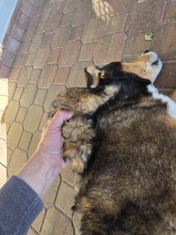 Interesting Finds (24 pics)