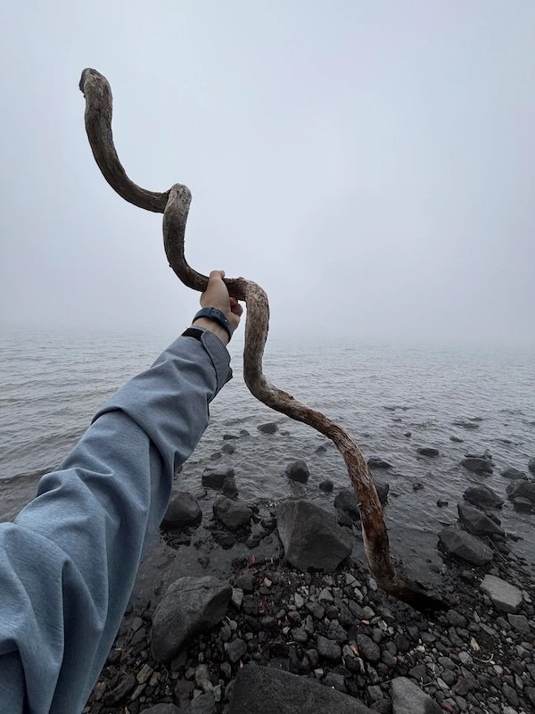 Epic Sticks (25 pics) Epic Sticks (25 pics)